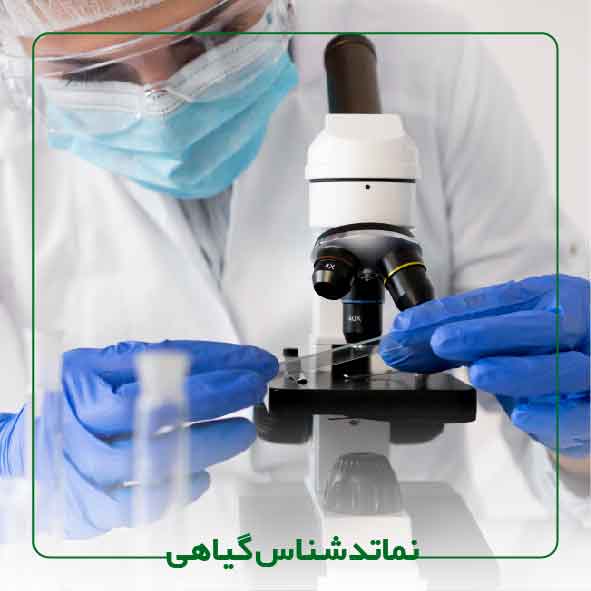 کارشناس ارشد و یا بالاتر نماتد شناس گیاهی